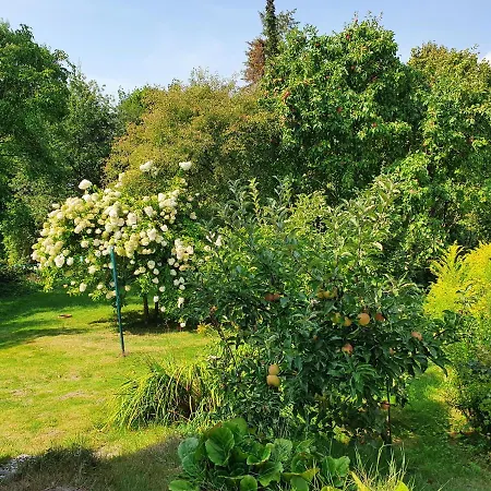 Gartenblick - Idylle Am Travetal